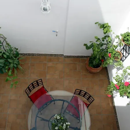 Apartment San Fernando 76 *
