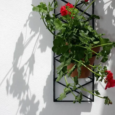 Apartment San Fernando 76