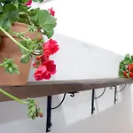 Lägenhet San Fernando 76 Córdoba